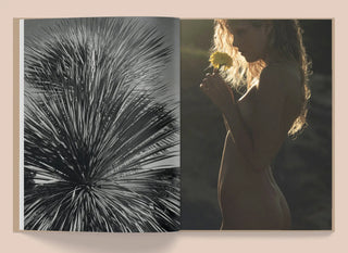 La Selva - Kate Bellm Mirage  Galerie Roschlaub