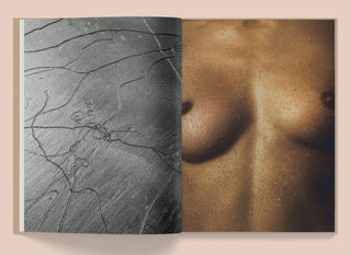 La Selva - Kate Bellm Mirage  Galerie Roschlaub