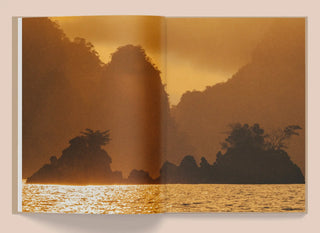 La Selva - Kate Bellm Mirage  Galerie Roschlaub