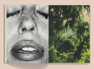 La Selva - Kate Bellm Mirage  Galerie Roschlaub