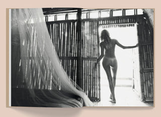 La Selva - Kate Bellm Mirage  Galerie Roschlaub