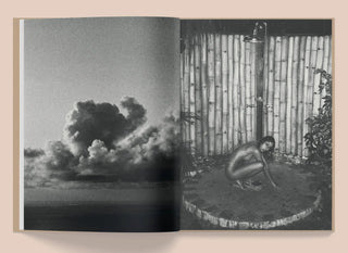 La Selva - Kate Bellm Mirage  Galerie Roschlaub