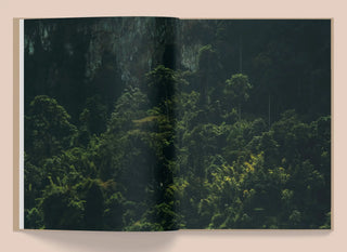 La Selva - Kate Bellm Mirage  Galerie Roschlaub