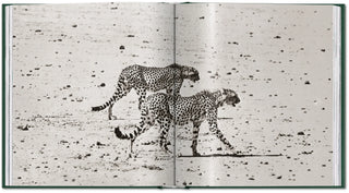 Peter Beard. The End of the Game Taschen  Galerie Roschlaub