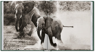 Peter Beard. The End of the Game Taschen  Galerie Roschlaub