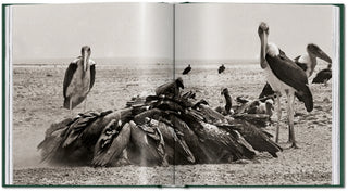 Peter Beard. The End of the Game Taschen  Galerie Roschlaub