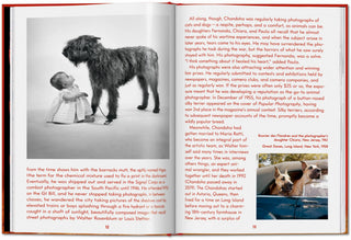 Walter Chandoha. Dogs. Photographs 1941–1991 Galerie Roschlaub  Galerie Roschlaub