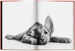 Walter Chandoha. Dogs. Photographs 1941–1991 Galerie Roschlaub  Galerie Roschlaub