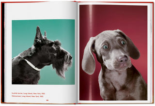 Walter Chandoha. Dogs. Photographs 1941–1991 Galerie Roschlaub  Galerie Roschlaub