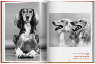 Walter Chandoha. Dogs. Photographs 1941–1991 Galerie Roschlaub  Galerie Roschlaub