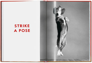 Walter Chandoha. Dogs. Photographs 1941–1991 Galerie Roschlaub  Galerie Roschlaub