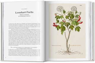 Leonhart Fuchs. The New Herbal Taschen  Galerie Roschlaub