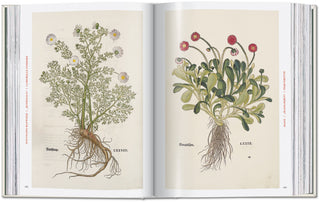 Leonhart Fuchs. The New Herbal Taschen  Galerie Roschlaub