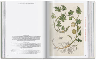 Leonhart Fuchs. The New Herbal Taschen  Galerie Roschlaub