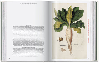 Leonhart Fuchs. The New Herbal Taschen  Galerie Roschlaub