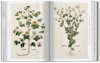 Leonhart Fuchs. The New Herbal Taschen  Galerie Roschlaub