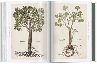 Leonhart Fuchs. The New Herbal Taschen  Galerie Roschlaub