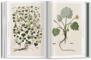 Leonhart Fuchs. The New Herbal Taschen  Galerie Roschlaub