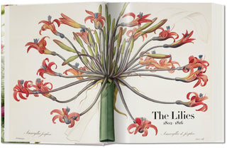 Redouté. The Book of Flowers Taschen  Galerie Roschlaub