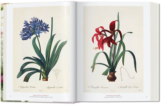 Redouté. The Book of Flowers Taschen  Galerie Roschlaub