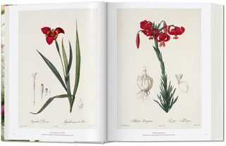 Redouté. The Book of Flowers Taschen  Galerie Roschlaub