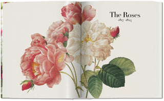 Redouté. The Book of Flowers Taschen  Galerie Roschlaub