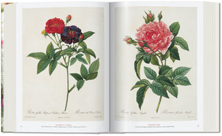 Redouté. The Book of Flowers Taschen  Galerie Roschlaub