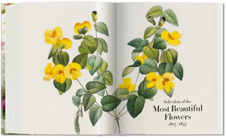 Redouté. The Book of Flowers Taschen  Galerie Roschlaub