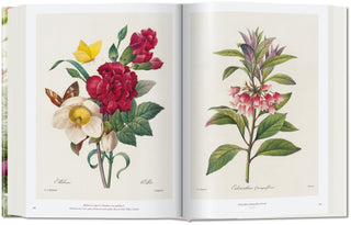 Redouté. The Book of Flowers Taschen  Galerie Roschlaub