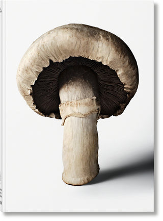 The Gourmand's Mushroom. A Collection of Stories & Recipes