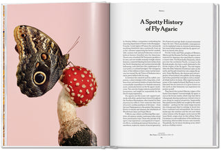 The Gourmand's Mushroom. A Collection of Stories & Recipes