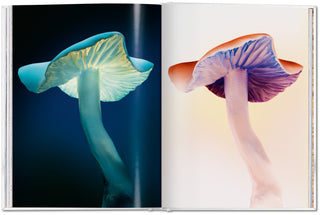 The Gourmand's Mushroom. A Collection of Stories & Recipes