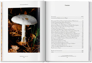 The Gourmand's Mushroom. A Collection of Stories & Recipes