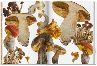The Gourmand's Mushroom. A Collection of Stories & Recipes