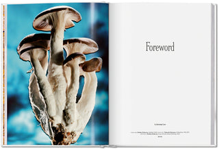 The Gourmand's Mushroom. A Collection of Stories & Recipes