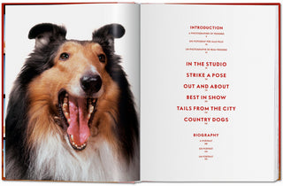 Dogs. Photographs 1941–1991 - Walter Chandoha
