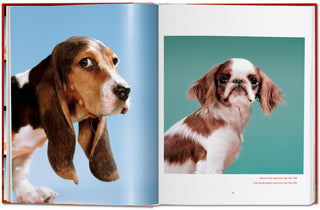 Dogs. Photographs 1941–1991 - Walter Chandoha