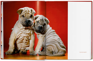 Dogs. Photographs 1941–1991 - Walter Chandoha