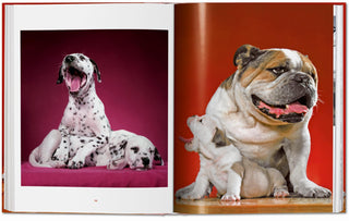 Dogs. Photographs 1941–1991 - Walter Chandoha