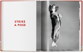 Dogs. Photographs 1941–1991 - Walter Chandoha