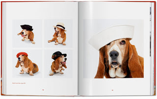 Dogs. Photographs 1941–1991 - Walter Chandoha