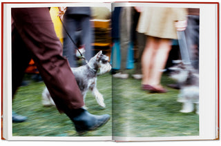 Dogs. Photographs 1941–1991 - Walter Chandoha
