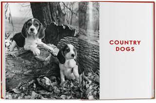 Dogs. Photographs 1941–1991 - Walter Chandoha