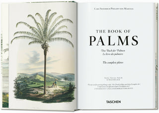 Martius. The Book of Palms. 45th Ed.
