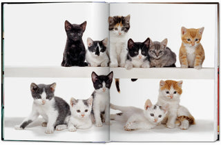 Walter Chandoha. Cats. Photographs 1942–2018 Taschen  Galerie Roschlaub