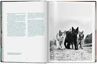 Walter Chandoha. Cats. Photographs 1942–2018 Taschen  Galerie Roschlaub