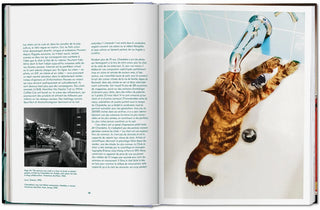 Walter Chandoha. Cats. Photographs 1942–2018 Taschen  Galerie Roschlaub
