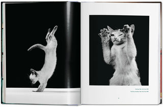 Walter Chandoha. Cats. Photographs 1942–2018 Taschen  Galerie Roschlaub