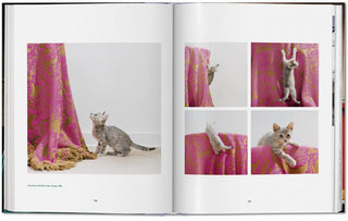 Walter Chandoha. Cats. Photographs 1942–2018 Taschen  Galerie Roschlaub