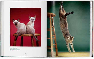 Walter Chandoha. Cats. Photographs 1942–2018 Taschen  Galerie Roschlaub